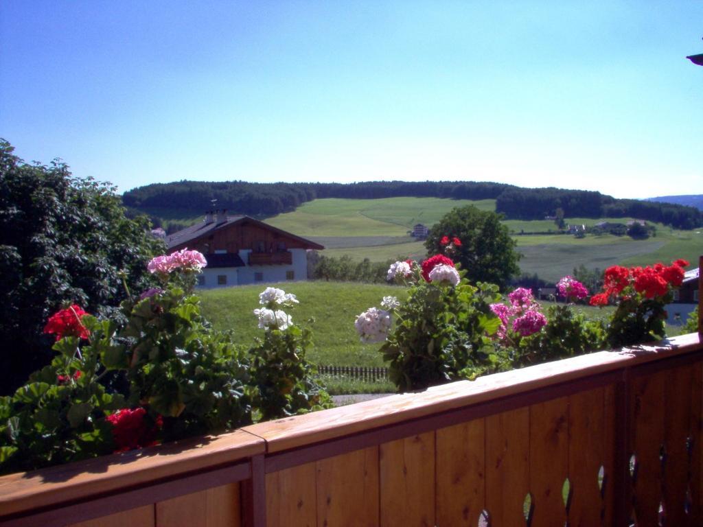 Hotel Viktoria Castelrotto Luaran gambar