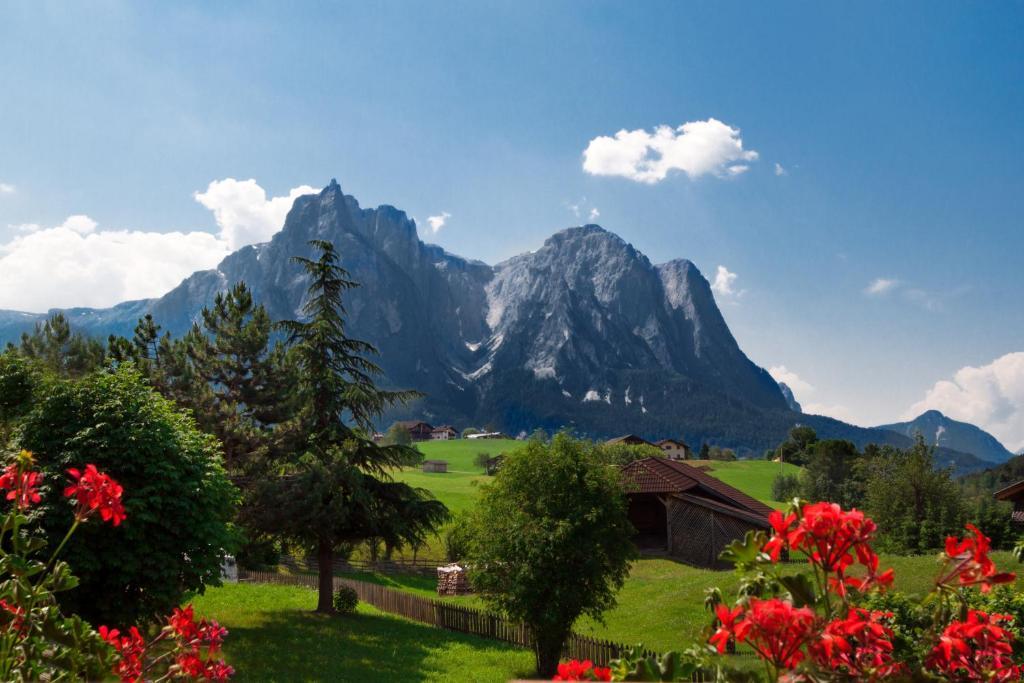Hotel Viktoria Castelrotto Bilik gambar